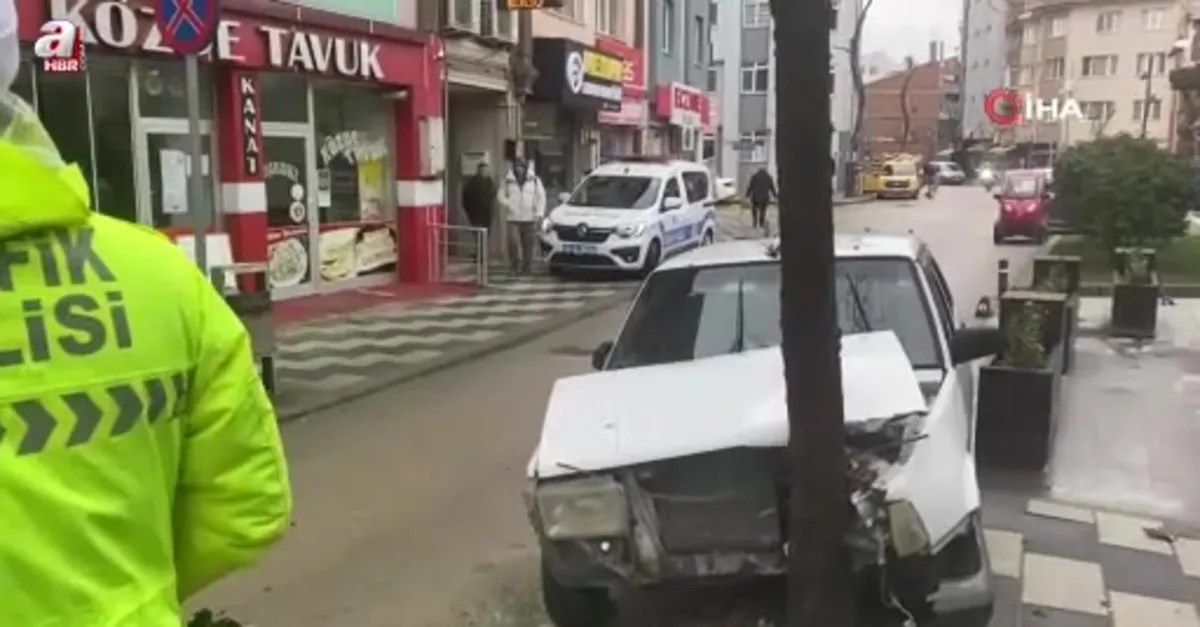 Köpeğe çarpmamak için ağaca çarptı