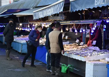Milyonların sevdalısı hamside büyük tehlike! Kış aylarının vazgeçilmezi hamsi...