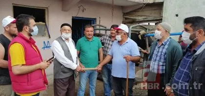 Son dakika haberleri: Hayvan toplama ve satış yerlerine çalışma izni verimesi için şartlar belirlendi