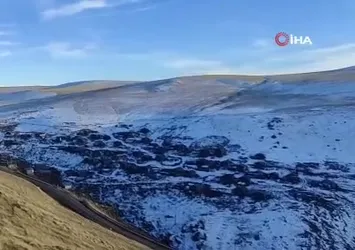 Ardahan'ın yüksek kesimleri beyaza büründü