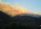 Manisadaki yangına müdahale sürüyor!