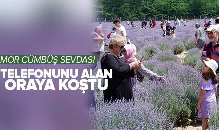 Edirne’de lavanta tarlaları fotoğraf stüdyosuna döndü! Mor cümbüşe akın ettiler