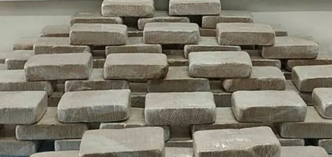vanda-bos-arazide-ve-olu-at-sirtinda-102-kilo-eroin-ele-gecirildi-1620655969103.jpg Van'da boş arazide ve ölü at sırtında 102 kilo eroin ele geçirildi - 1