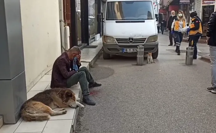Vefakâr köpek kanlar içinde kalan sahibinin başından ayrılmadı - 2