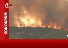 Hatay Samandağında korkutan orman yangını | A Haber muhabiri son durumu aktardı