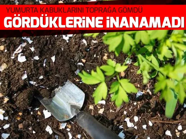 Beşiktaş'ta akılalmaz kaza! "Arabayı uçarken gördüm" - 1