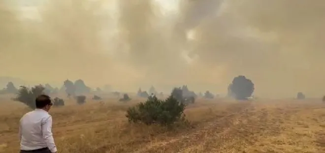 Erzincan’da korkutan orman yangını! Çok sayıda ekip sevk edildi