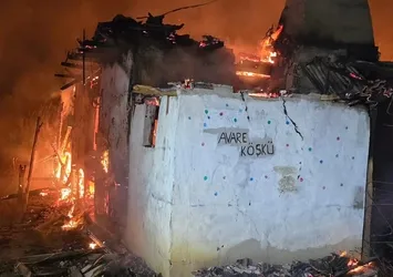 Köyde çıkan yangında 3 ev kül oldu!