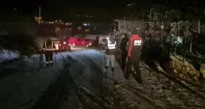 Kiralık ev ararken ormanda mahsur kaldılar!