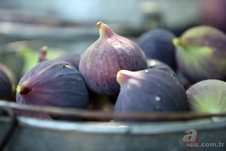 TasteAtlas açıkladı: Dünyanın en iyi inciri Ege’den çıktı 1