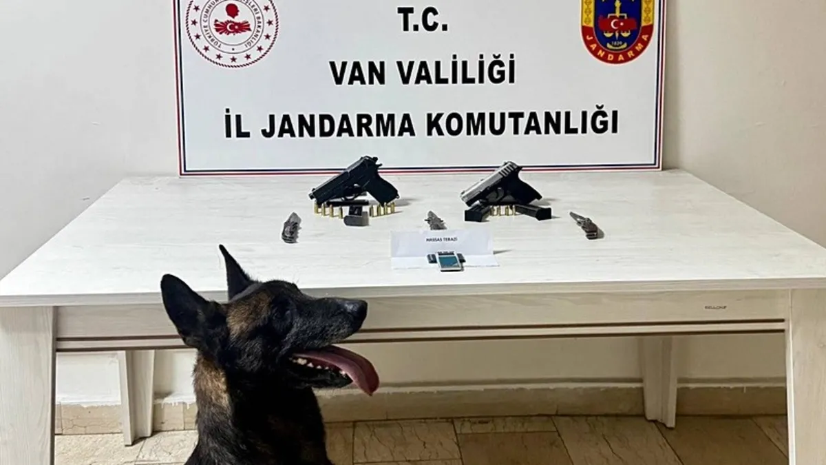 Van'da silah ve mühimmat ele geçirildi
