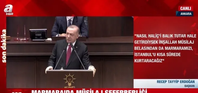 Başkan Erdoğan’dan Marmara’da müsilaj seferberliği mesajı! Haliç’i temizlediğimiz gibi Marmara’yı da kurtaracağız