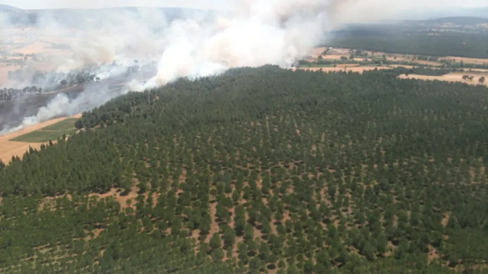 Çanakkale'de tarlada başlayan yangın ormana sıçradı