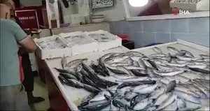 Av yasağı bitti tezgahlar palamutla doldu