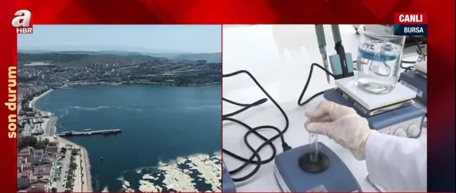 Müsilaj tarıma kazandırılacak! Müsilajdan tarım katkı maddesi ve biyoyakıt üretimi yapılacak - 2