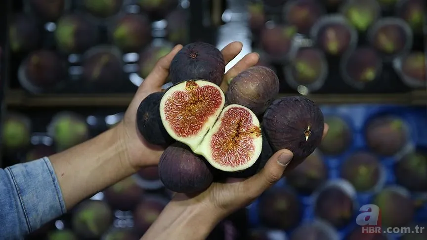 Ciğerlerinizi dinlendirecek! İbn-i Sina'dan astım hastalığına doğal çözüm! 2 tanesini karıştırıp... 12
