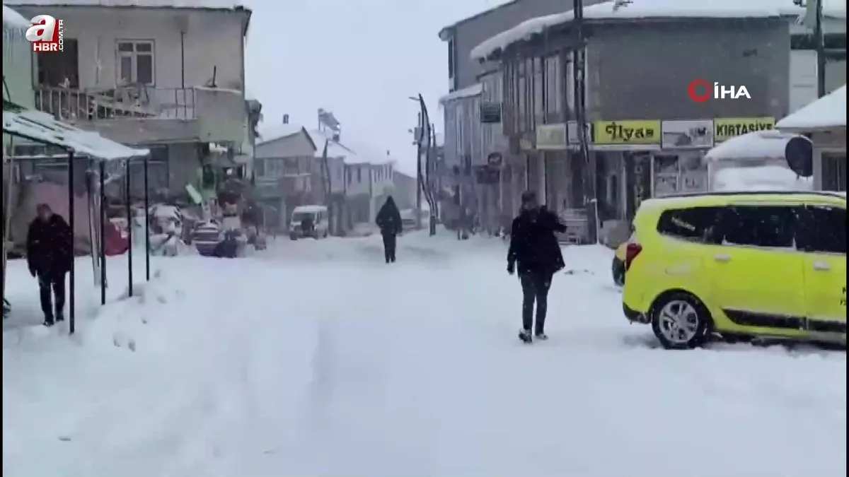 Karlıova'da 20 köy yolu ulaşıma kapandı