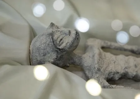 Meksika'daki uzaylıların arkasındaki gerçek! Cesetlerde bulunan 2 madde bilim dünyasını ikiye ayırdı