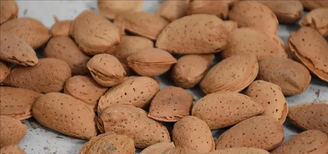 Kırışıklık karşıtı besinler: Ciltte ölü hücre bırakmıyor