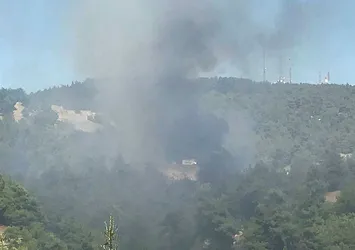 Son dakika: Çanakkale'de orman yangını