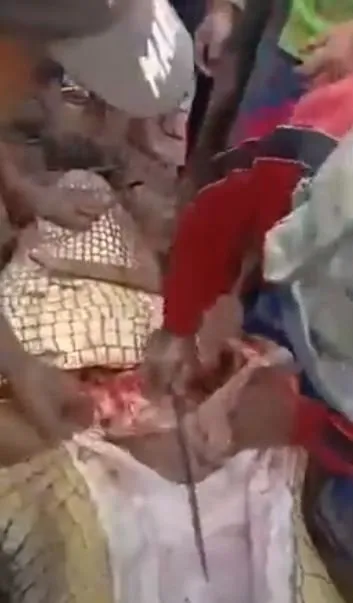 Timsahın karnından insan çıktı! Kan donduran anlar böyle görüntülendi...