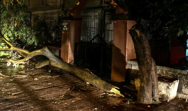 Şiddetli rüzgâr Kartal, Bakırköy ve Fatih'te ağaçları devirdi - 3