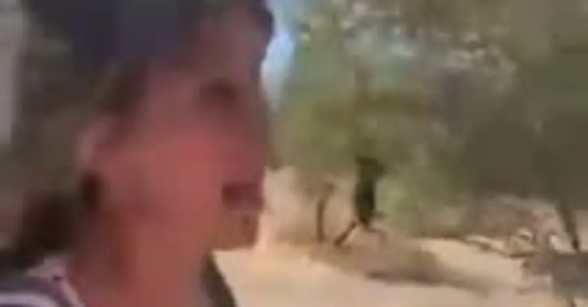 CHP’li belediyeden büyük skandal! Kedi ve köpekler ölüme böyle terk edildi!