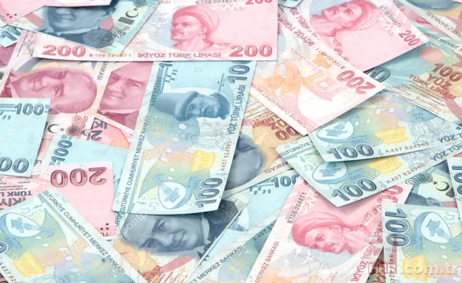 Memur zammı 2019 ne kadar oldu? TÜİK Aralık ayı enflasyon rakamını açıkladı 12