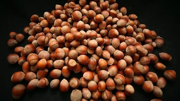 Fındık fiyatları açıklandı mı, belli oldu mu? 2021 fındık fiyatları ne zaman açıklanacak? İllere göre liste...