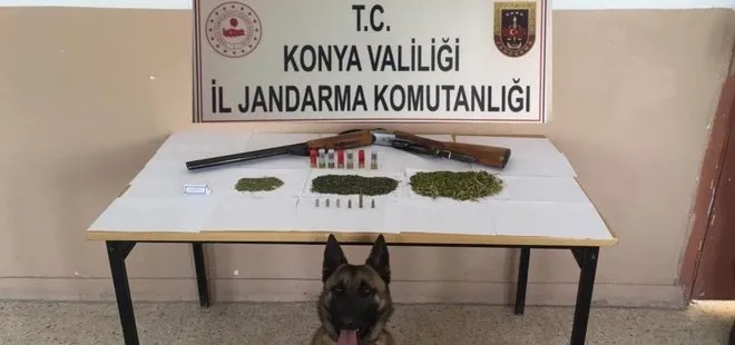 Konya’da Jandarma’dan uyuşturucu operasyonu! Gözaltılar var