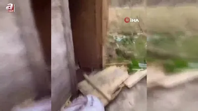 Turistlerin konakladığı bungalovlara dadandılar