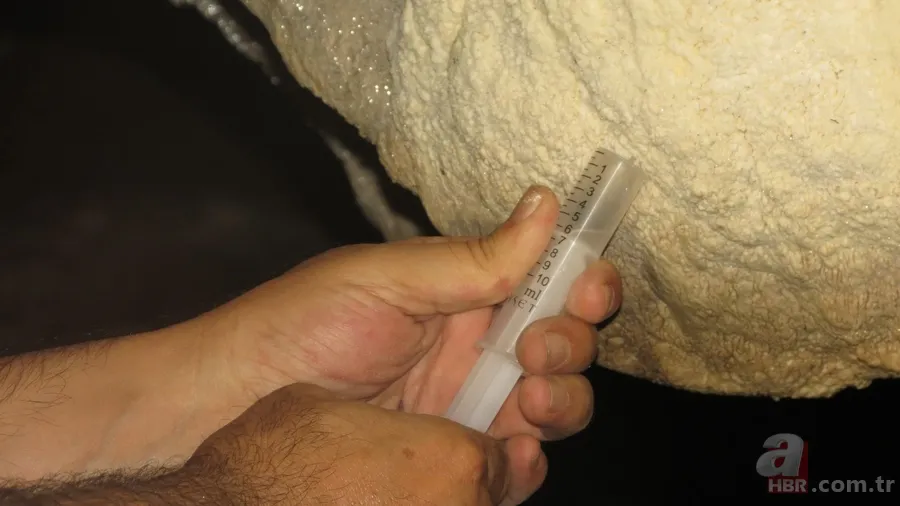 Dünyada sadece 2 yerde vardı: O ilimizde de bulundu! İlaç oalrak kullanılacak 2