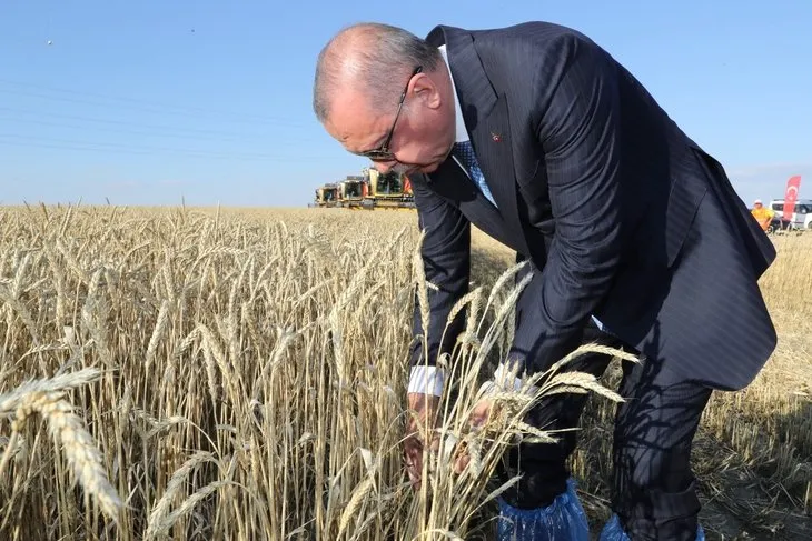 Başkan Erdoğan yerli elektrikli traktörü kullandı