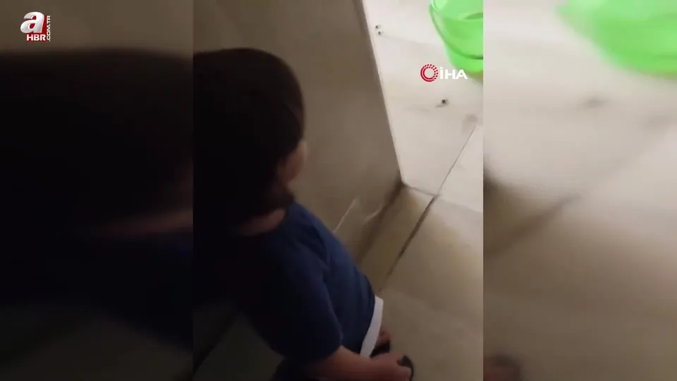 Serinlik arayan keçiler apartmana sığındı!