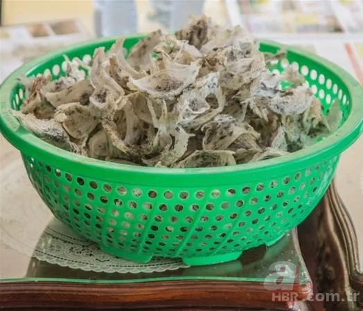 Pratik bilgiler! Limonu mikrodalgada 20 saniye ısıttığınızda sonuç inanılmaz 24