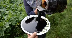 Saniyesinde kana karışıyor! Doğal demir ilacı...