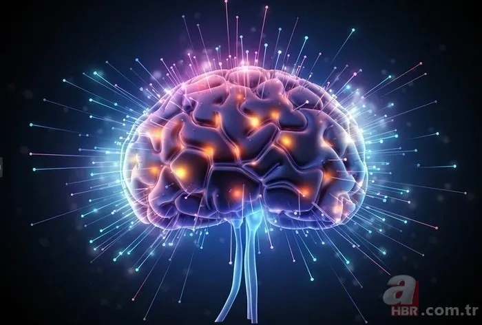 İbn-i Sina'dan asırlık öneri! Her evde bulunuyor! Hafızayı çelik gibi yapan baharat... 4