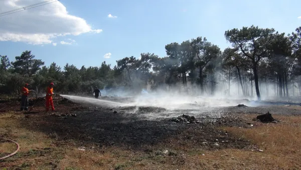 1621779644397.jpg Mersin'de orman yangını! 2 hektarlık alan zarar gördü - 1