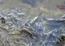 İstanbulda korkutan görüntü!