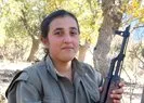 Öldürülen kadın terörist eski HDP İlçe Başkanı çıktı