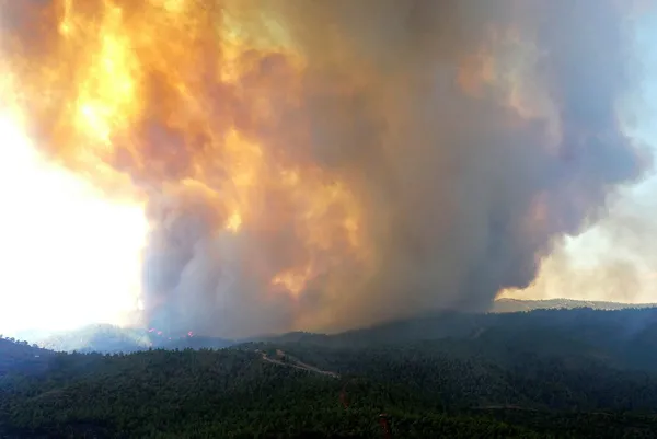 Marmaris’teki yangında son durum ne? Tahliyeler başladı! Şiddetli rüzgarla büyük mücadele... İşte dakika dakika yaşananlar