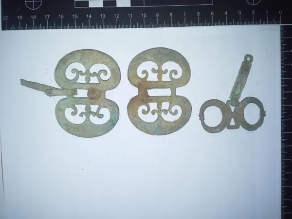 Dışişleri Bakanı Mevlüt Çavuşoğlu Macaristan’da yakalanan 412 tarihi eseri Türkiye’ye getiriyor