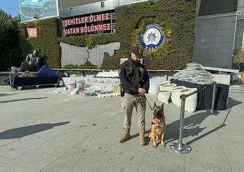 Narkotik köpeği Ares uyuşturucu baskınında öldü! Canı pahasına yakaladı