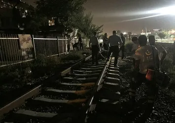 Manisa'da trenin çarptığı çoban öldü