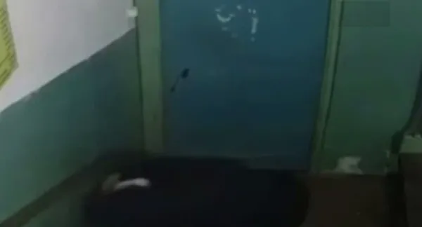 Mide bulandıran iğrenç olay güvenlik kamerasına yansıdı! Küçük kızı taciz eden pis sapık... - 5