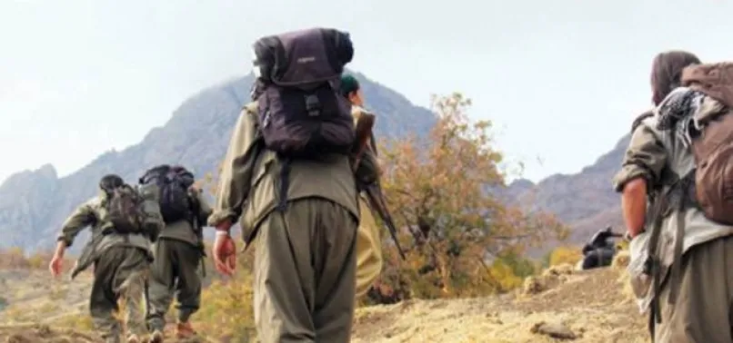 FETÖ göz yumdu, PKK saldırdı