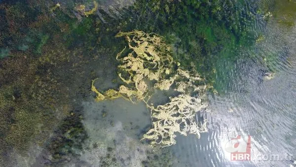 Antalya'nın içme suyunu karşılıyor! Kırkgöz'den çıkanlar şoke etti: Halıdan lastiğe... 6