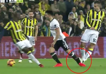 Beşiktaşlıların Van Persie isyanı