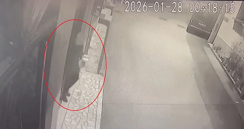 Bursa'da her satırı vahşet dolu cinayet haberi! 75 yaşındaki eşini 15 parçaya böldü - 4