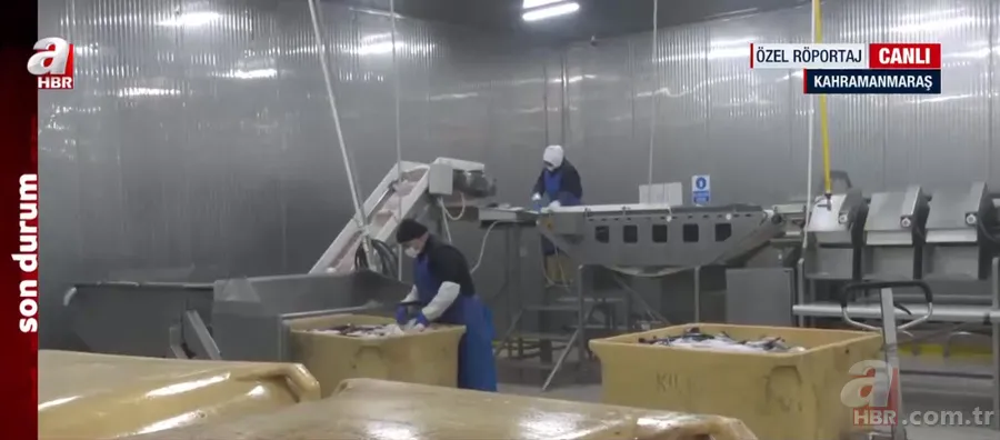 A Haber felaketin yıl dönümünde bölgede! Tarım ve Orman Bakanı İbrahim Yumaklı'dan A Haber'e özel açıklamalar 18